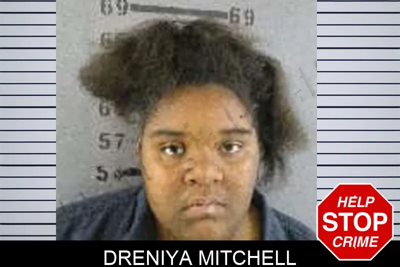 Dreniya Mitchell Mugshots