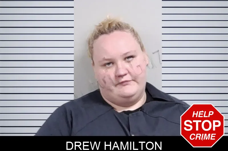 Drew Hamilton Mugshots