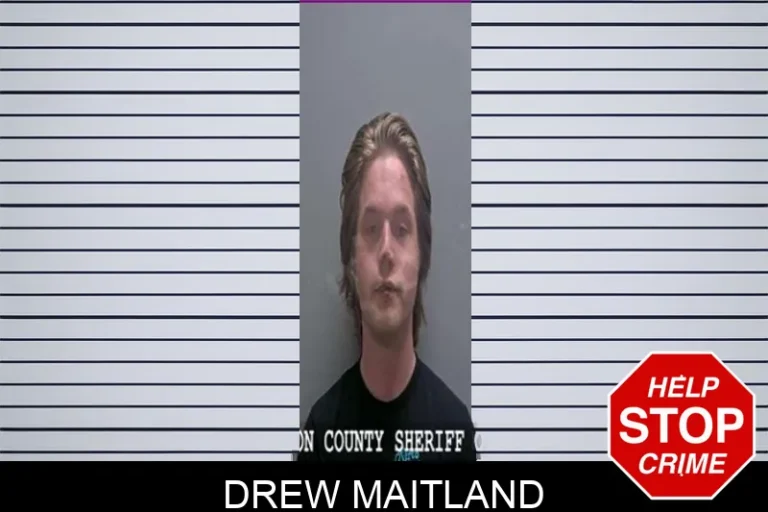 Drew Maitland