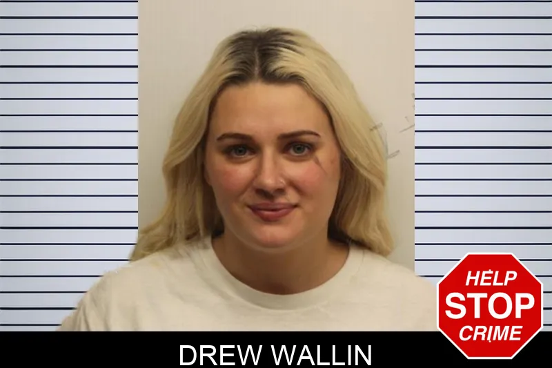 Drew Wallin Mugshots