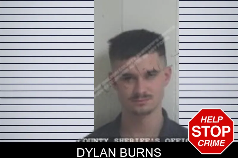 Dylan Burns Mugshots
