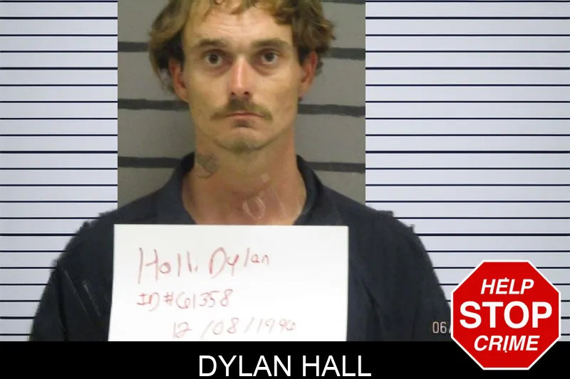 Dylan Hall Mugshots