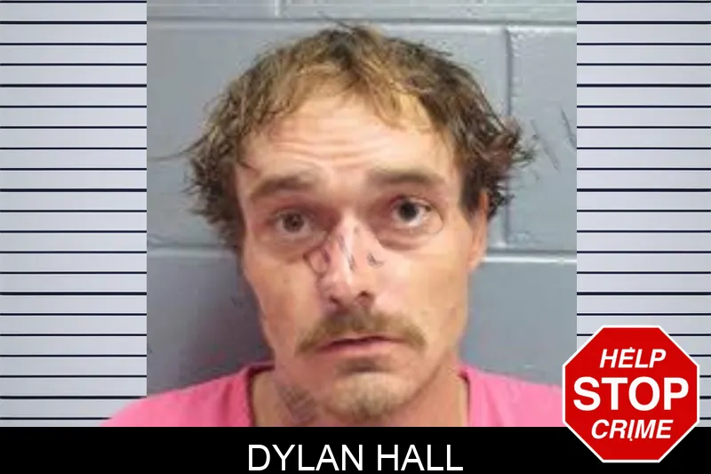 Dylan Hall Mugshots