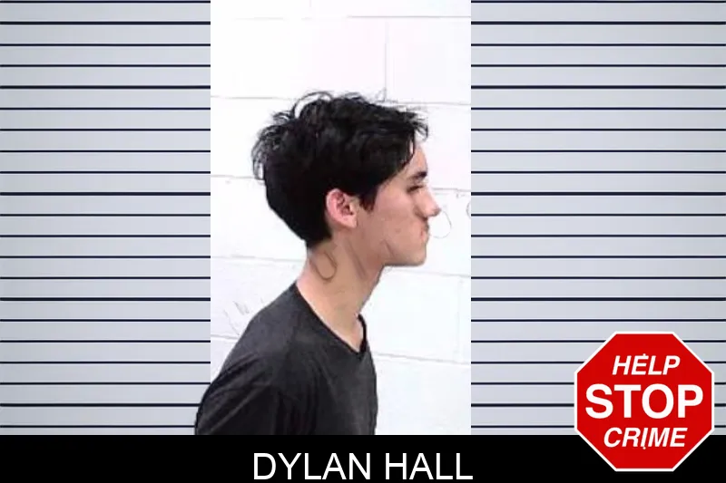 Dylan Hall Mugshots