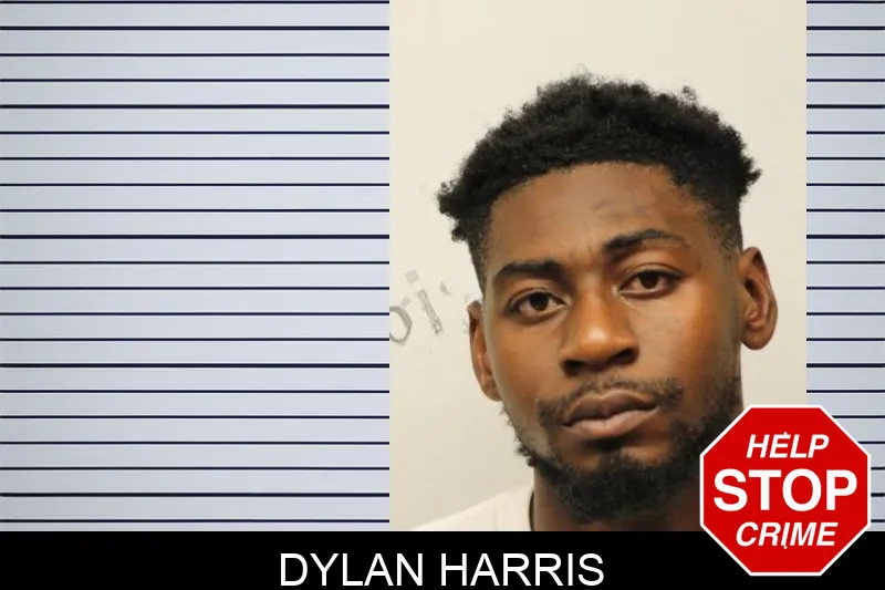 Dylan Harris Mugshots