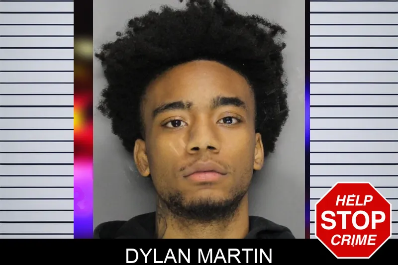 Dylan Martin Mugshots