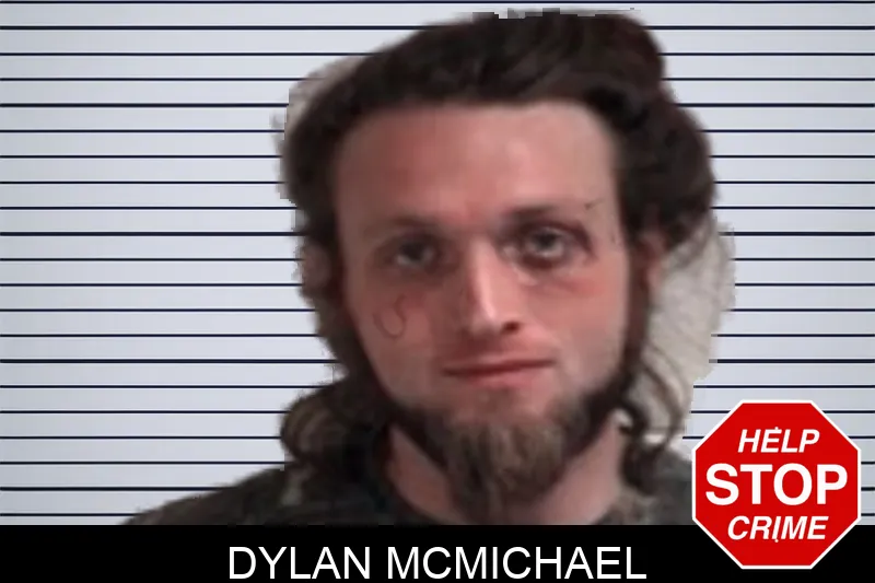 Dylan McMichael Mugshots