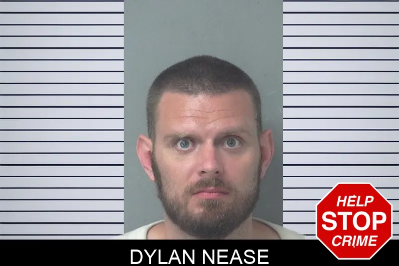 Dylan Nease mugshot