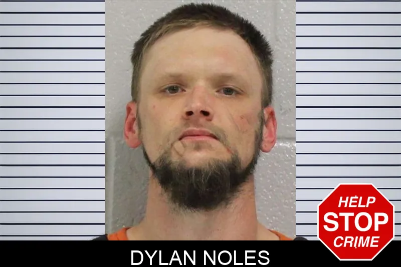 Dylan Noles Mugshots