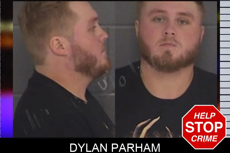 Dylan Parham Mugshots