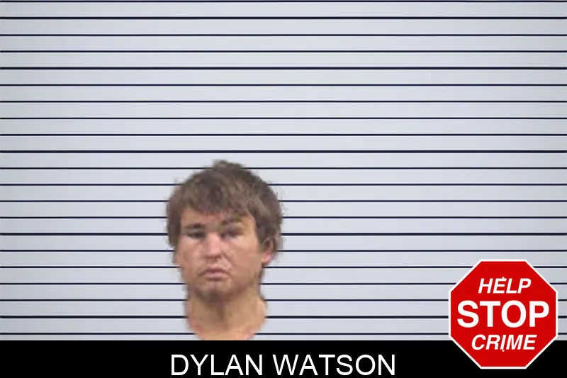 Dylan Watson Mugshots