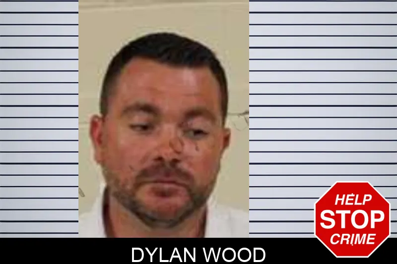 Dylan Wood mugshot