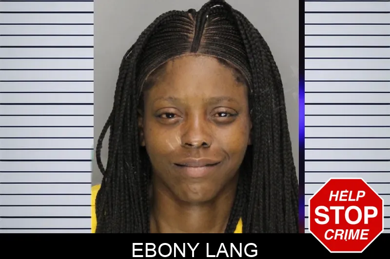 Ebony Lang mugshot – Cobb County , Georgia Ebony Lang mugshot
