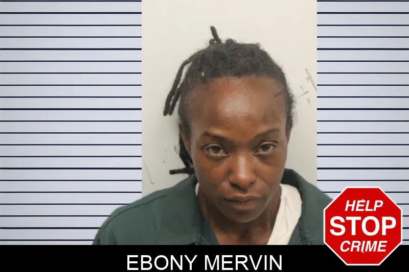 Ebony Mervin Mugshots