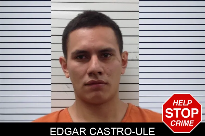 Edgar Castro-Ule