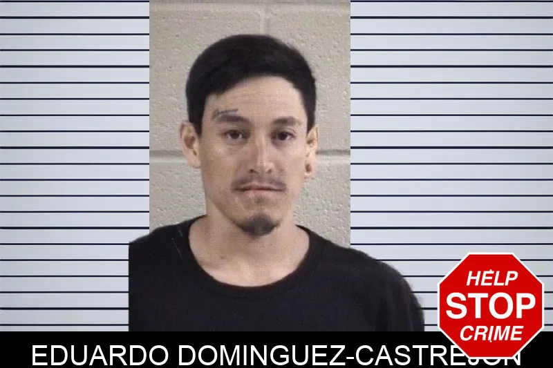 Eduardo Dominguez-Castrejon mugshot – Whitfield County , Georgia Eduardo Dominguez-Castrejon mugshot