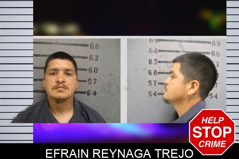 Efrain Reynaga Trejo