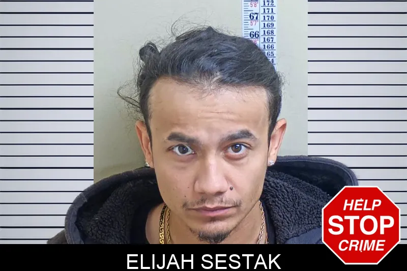 Elijah Sestak Mugshots