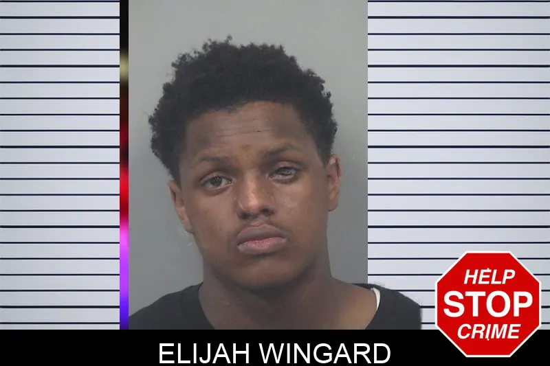 Elijah Wingard Mugshots