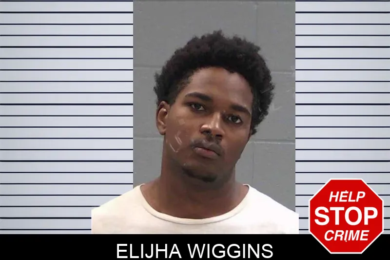 Elijha Wiggins