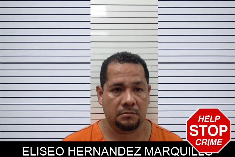Eliseo Hernandez Marquillo Mugshots