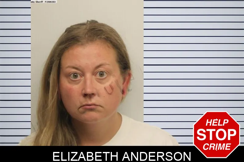 Elizabeth Anderson Mugshots