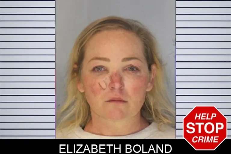Elizabeth Boland mugshot – Hall County , Georgia Elizabeth Boland