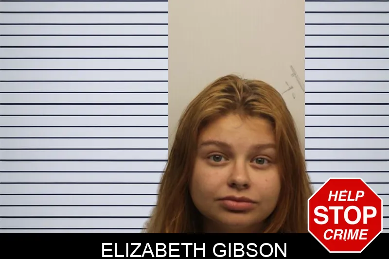 Elizabeth Gibson Mugshots