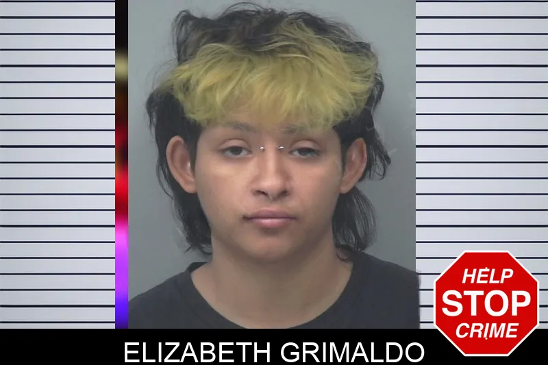 Elizabeth Grimaldo mugshot – Gwinnett County , Georgia Elizabeth Grimaldo mugshot