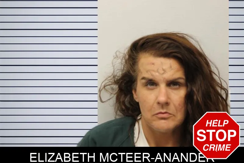 Elizabeth McTeer-Anander mugshot – Chatham County , Georgia Elizabeth McTeer-Anander mugshot