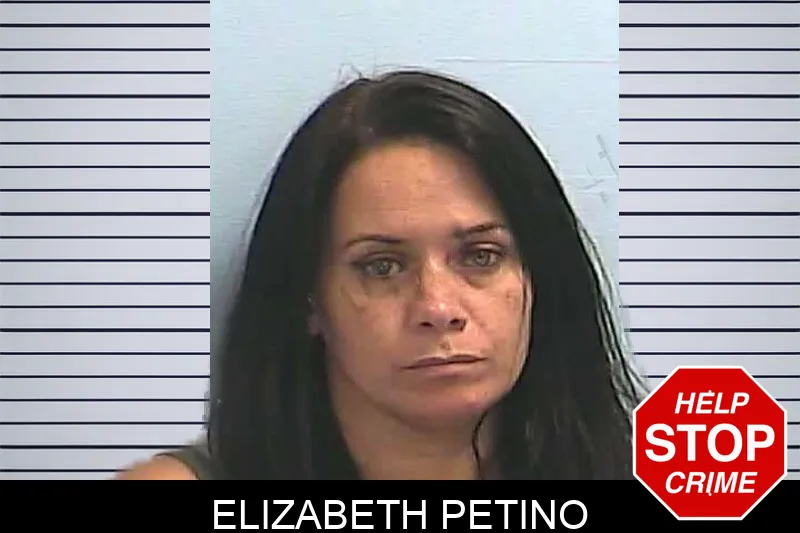 Elizabeth Petino Mugshots