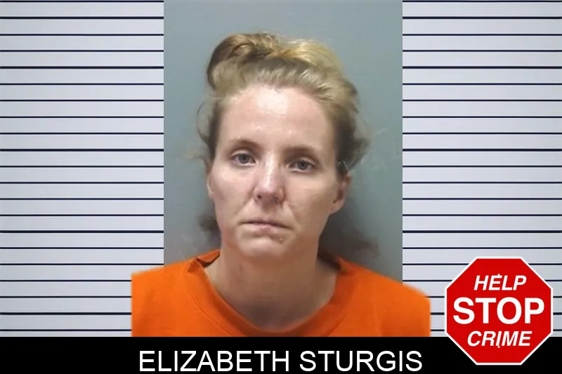 Elizabeth Sturgis Mugshots
