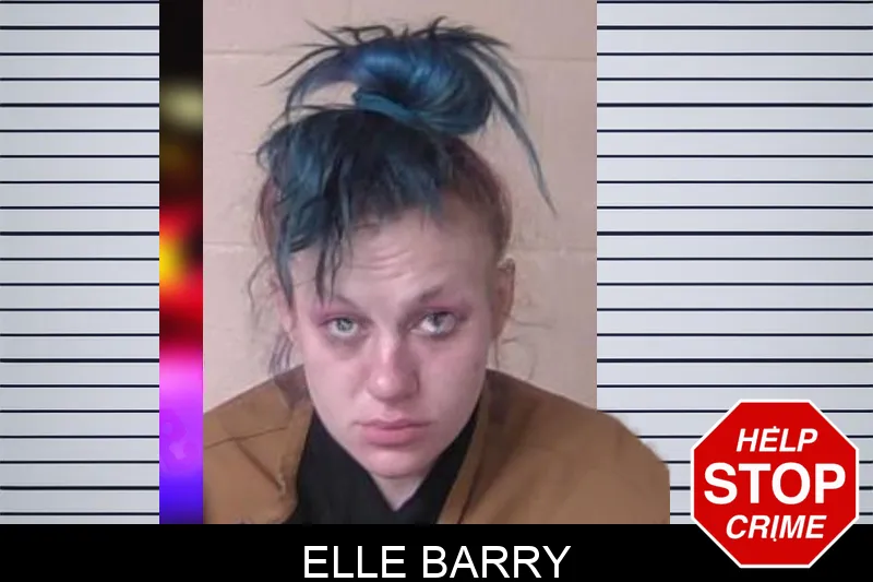 Elle Barry Mugshots
