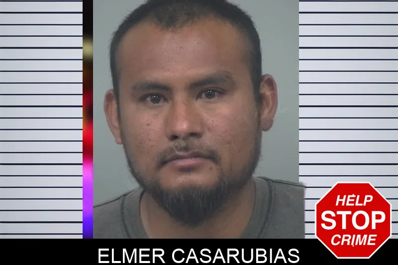 Elmer Casarubias Mugshots