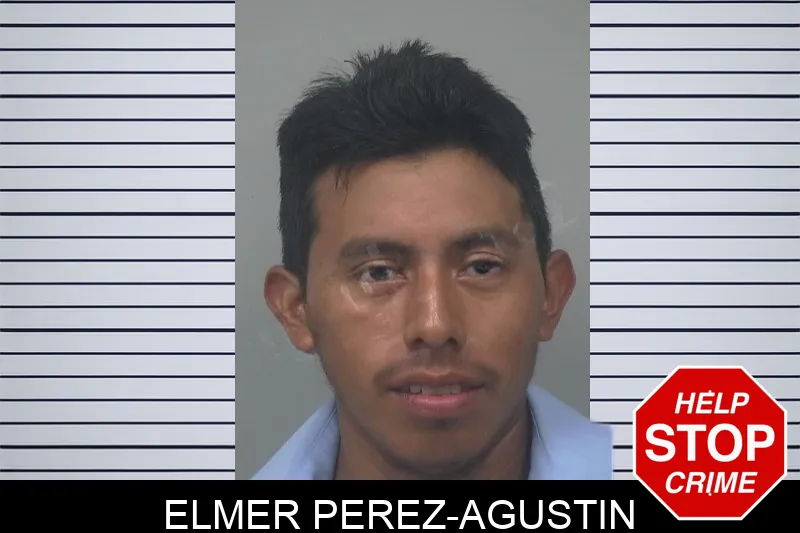 Elmer Perez-Agustin Mugshots