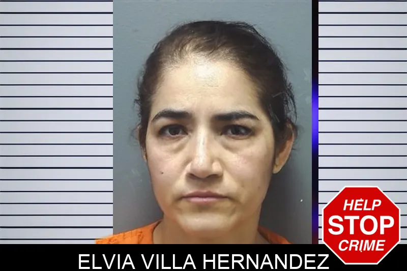 Elvia Villa Hernandez mugshot