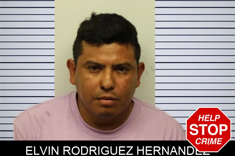 Elvin Rodriguez Hernandez Mugshots