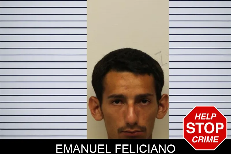 Emanuel Feliciano mugshot