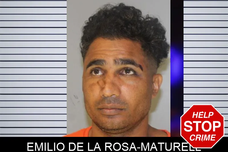 Emilio De La Rosa-Maturell