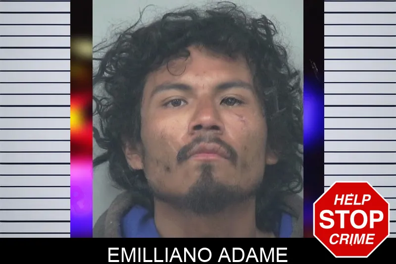 Emilliano Adame mugshot – Gwinnett County , Georgia Emilliano Adame mugshot