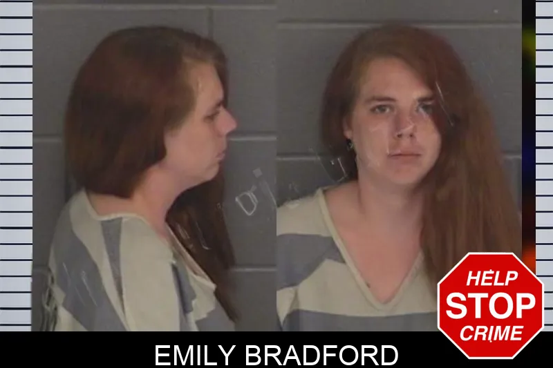 Emily Bradford Mugshots