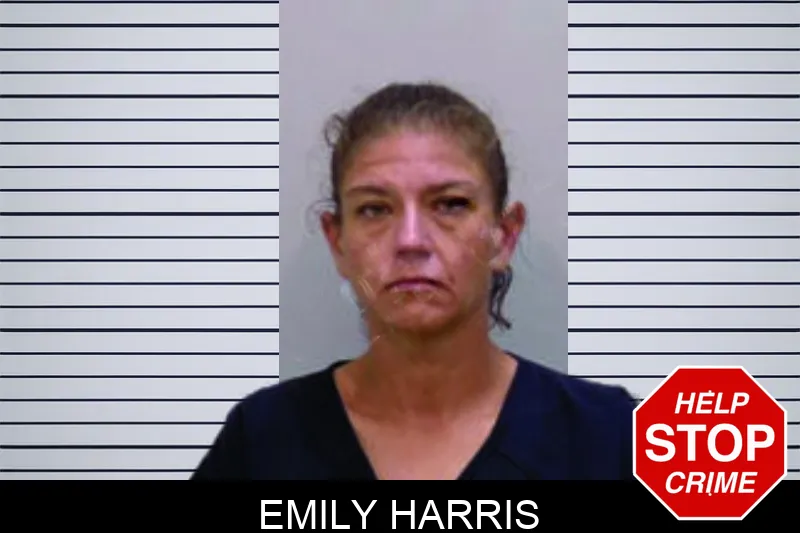 Emily Harris Mugshots