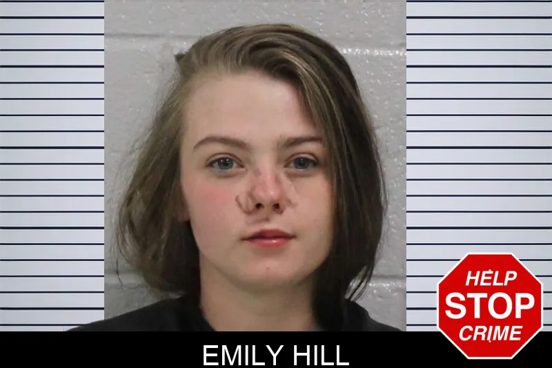 Emily Hill mugshot