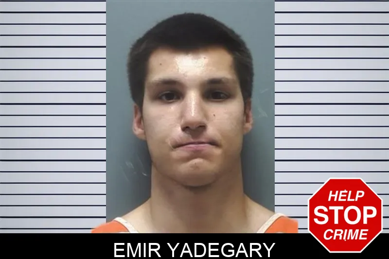 Emir Yadegary mugshot – Cherokee County , Georgia Emir Yadegary mugshot