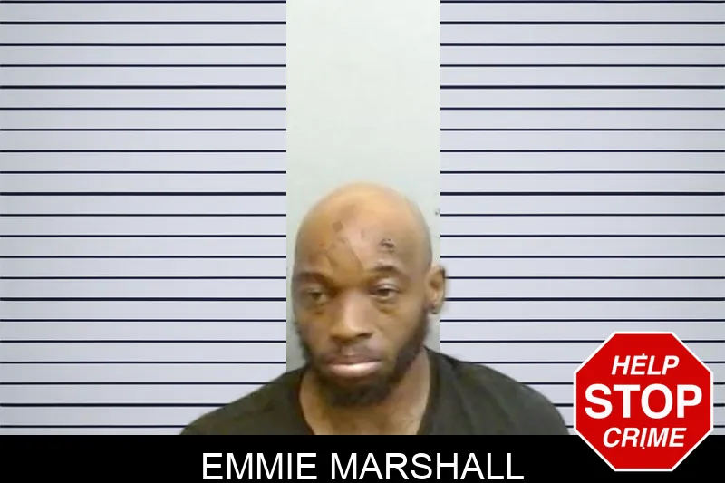 Emmie Marshall mugshot