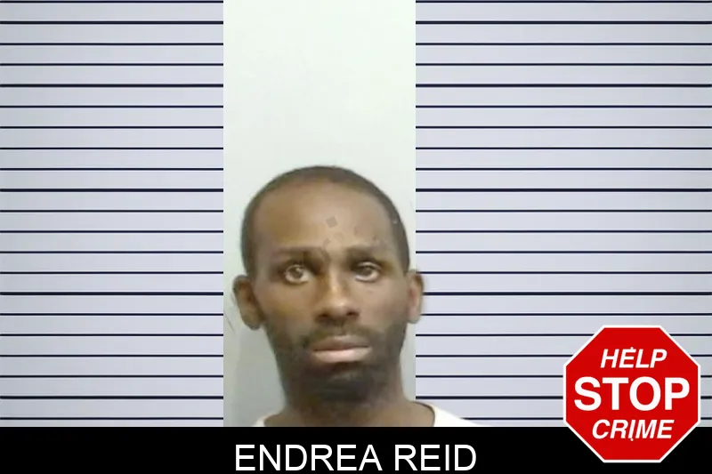 Endrea Reid Mugshots