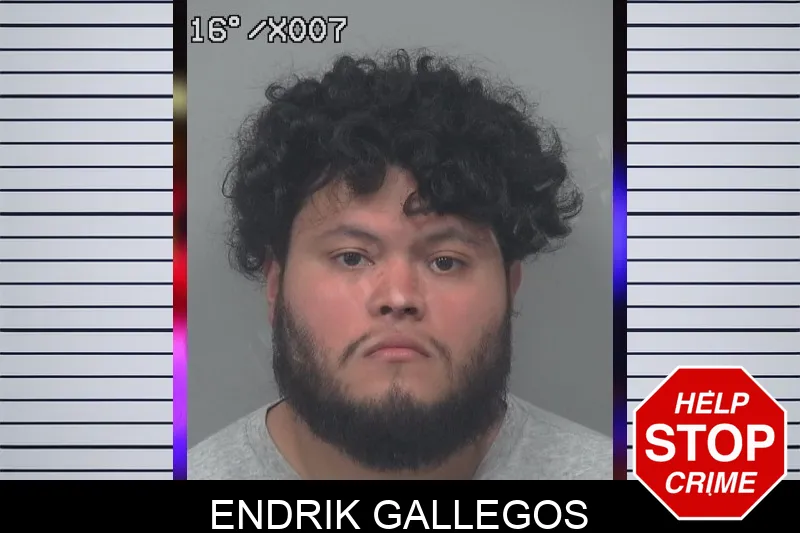 Endrik Gallegos Mugshots