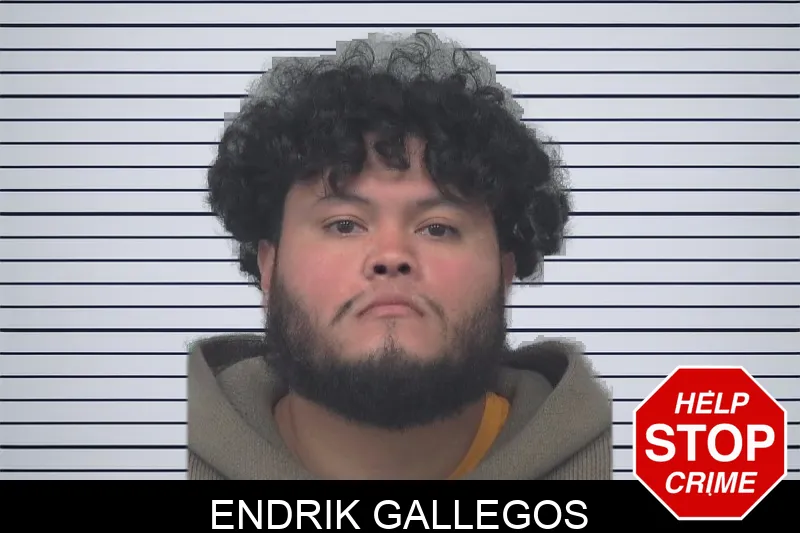 Endrik Gallegos Mugshots