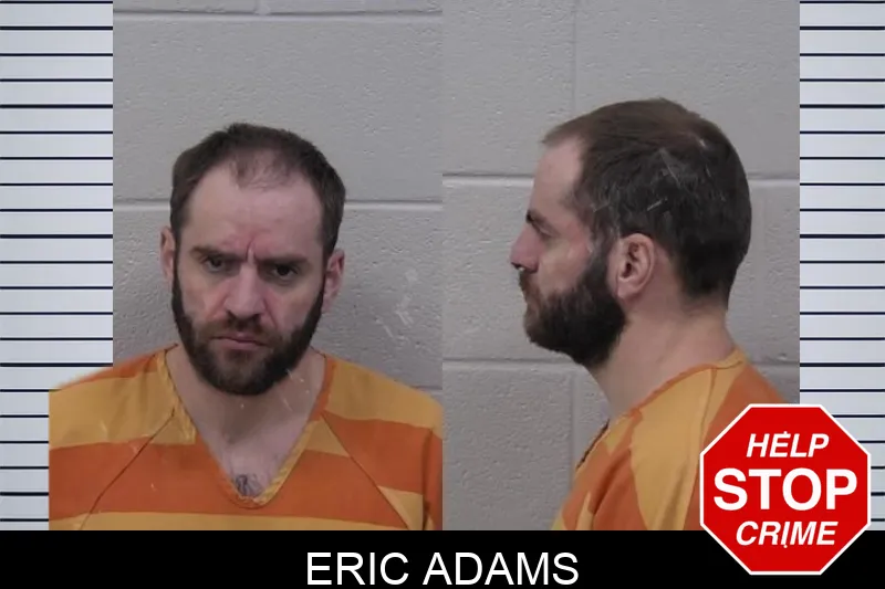 Eric Adams mugshot – Paulding County , Georgia Eric Adams mugshot