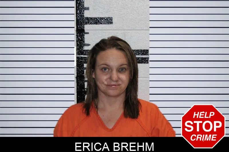 Erica Brehm Mugshots